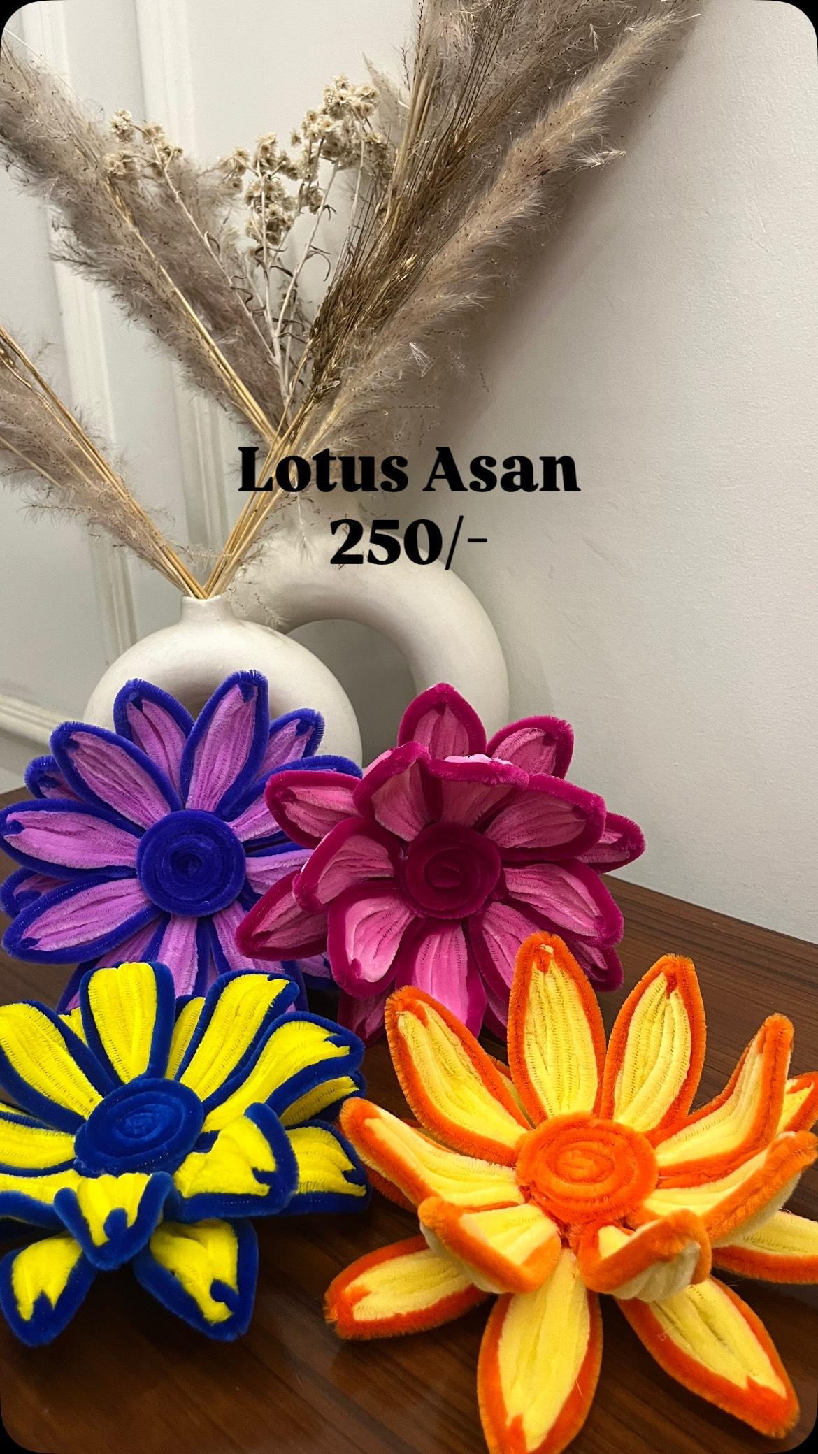 Lotus Asan - Image 1